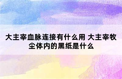 大主宰血脉连接有什么用 大主宰牧尘体内的黑纸是什么